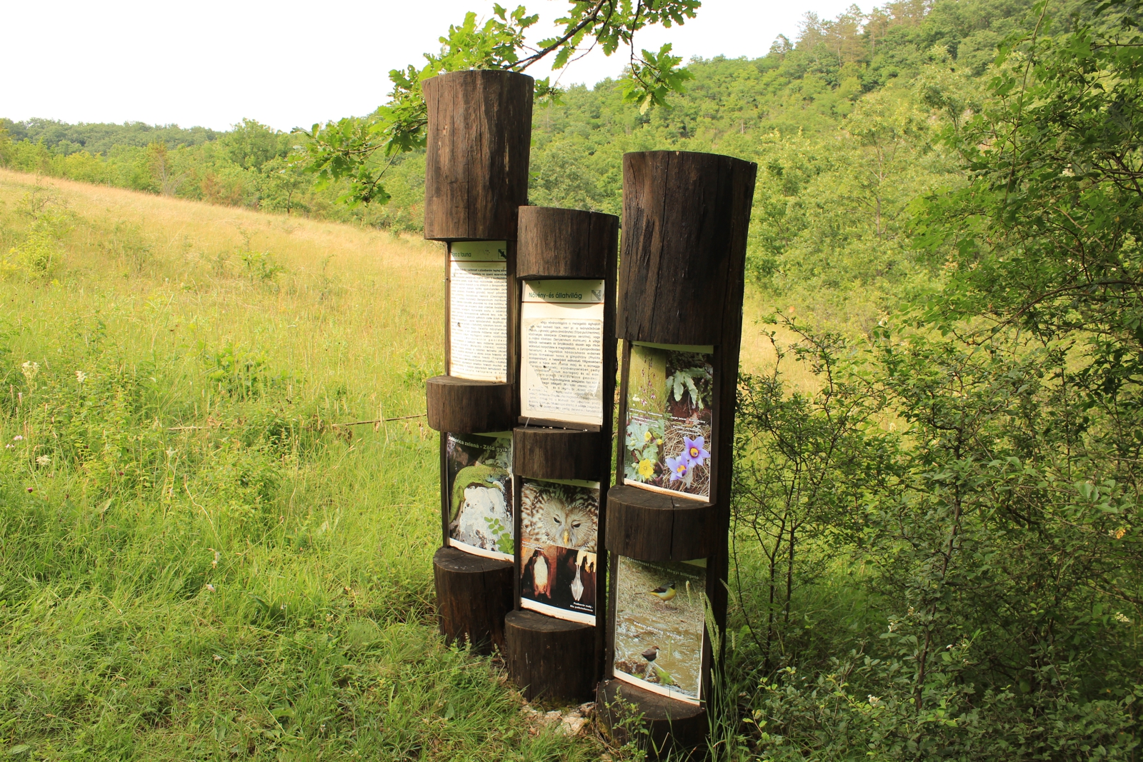 beretke-noveny-es-allatvilag-4