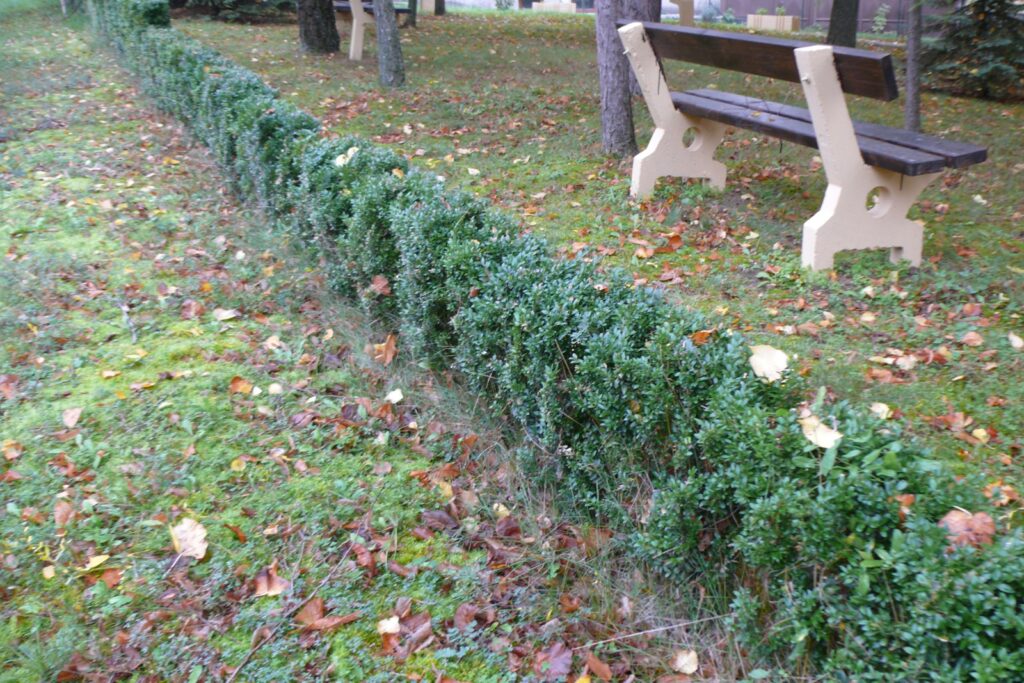 pograny-pogranyi-bences-fiokkolostor-romjai-2a