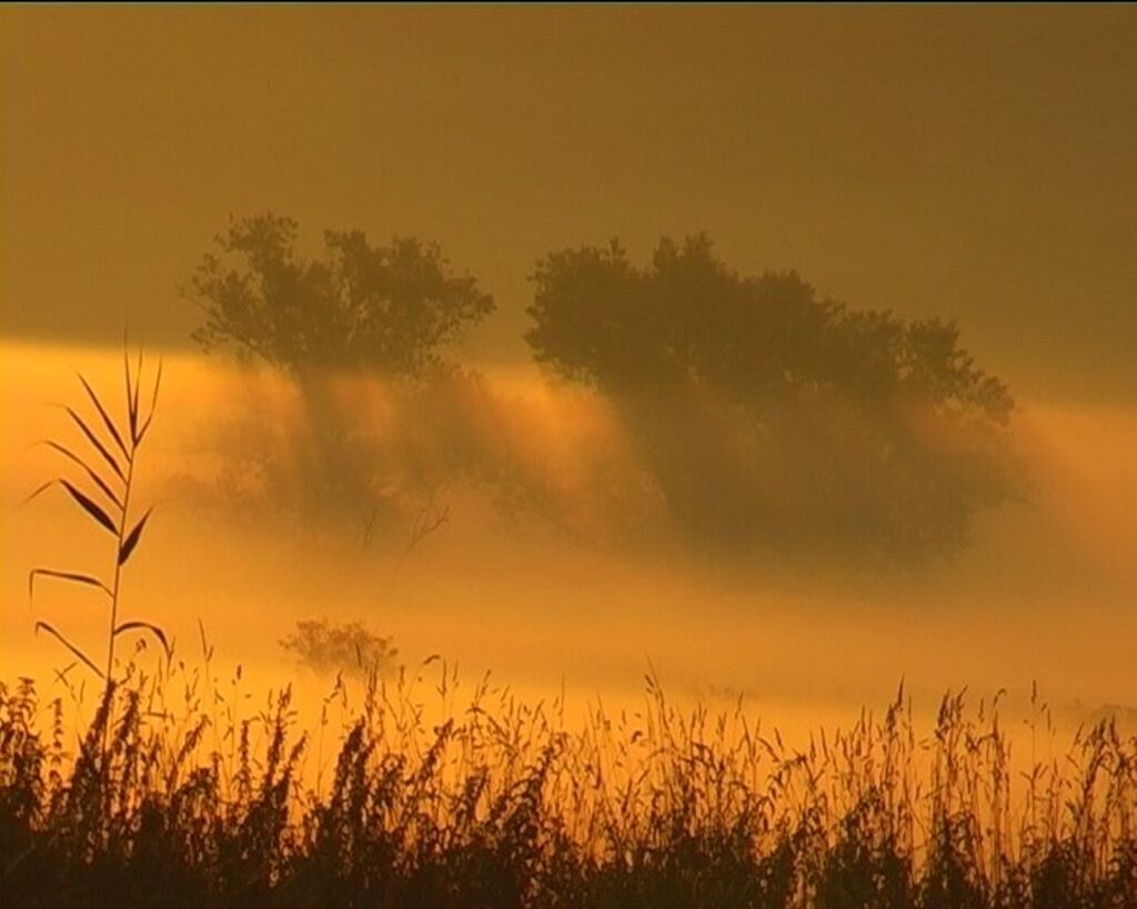 tisztasok-hajnali-ebredesben-foto-gyugyi-laszlo-kohidgyarmat-1