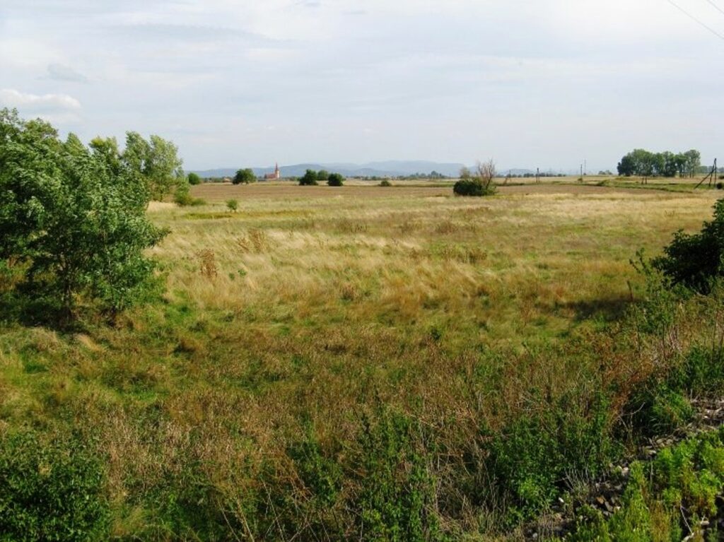 tisztasok-templommal-kohidgyarmat-1