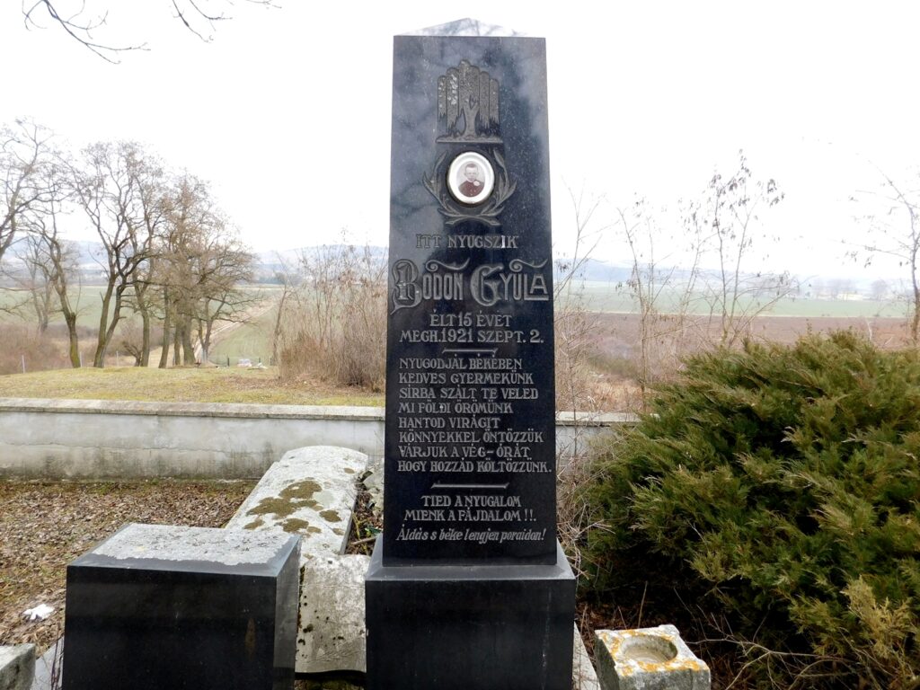 balogujfalu-bodon-gyula-1-sirja (2)