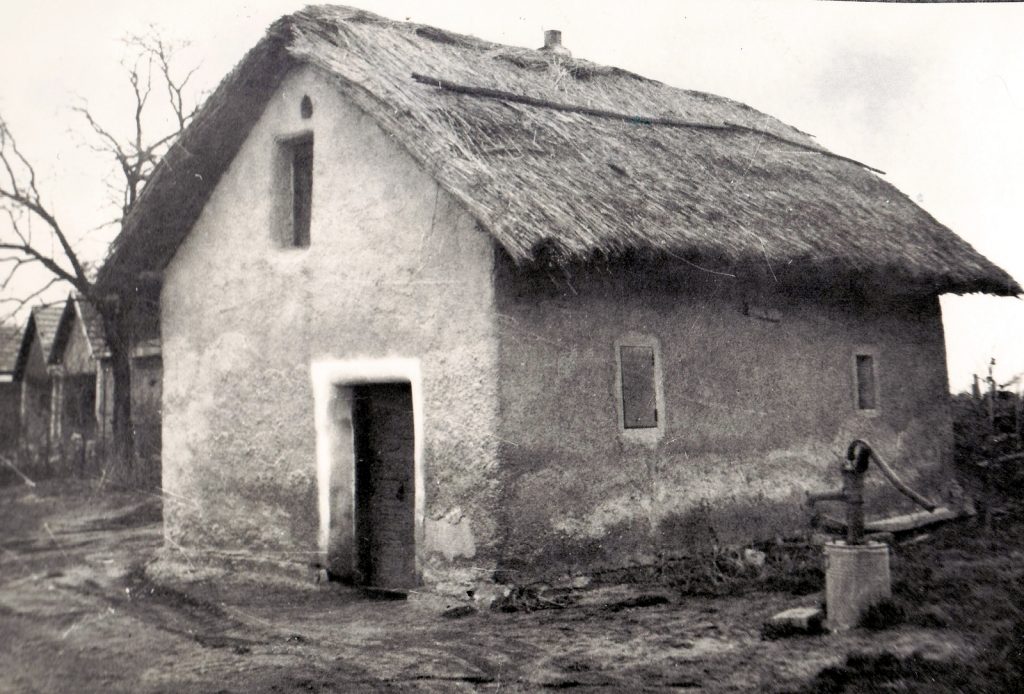 heteny-hajlok-4