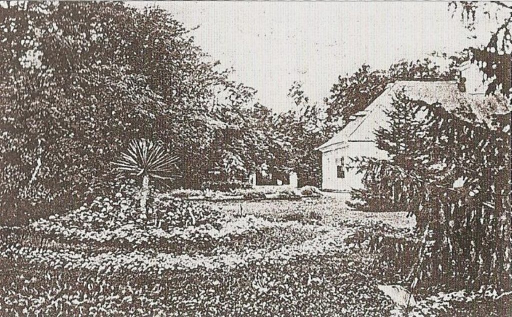 bagota-felso-kuria