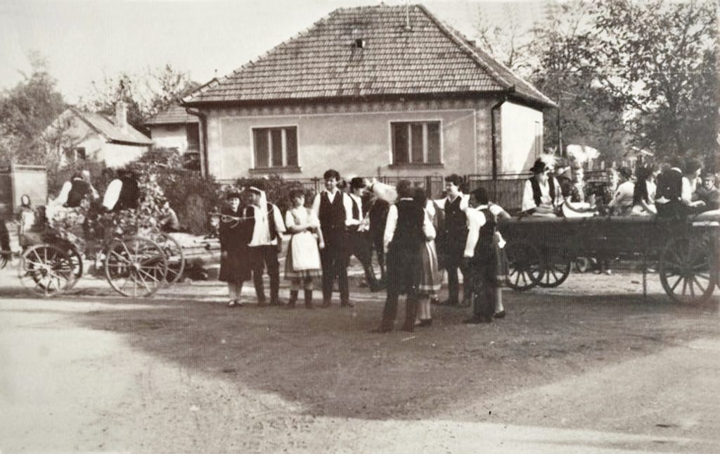 Madar_szureti-felvonulas_1985