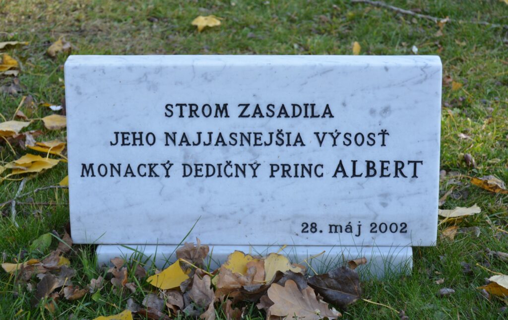 Grassalkovich kastély