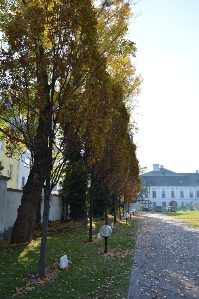 Grassalkovich kastély