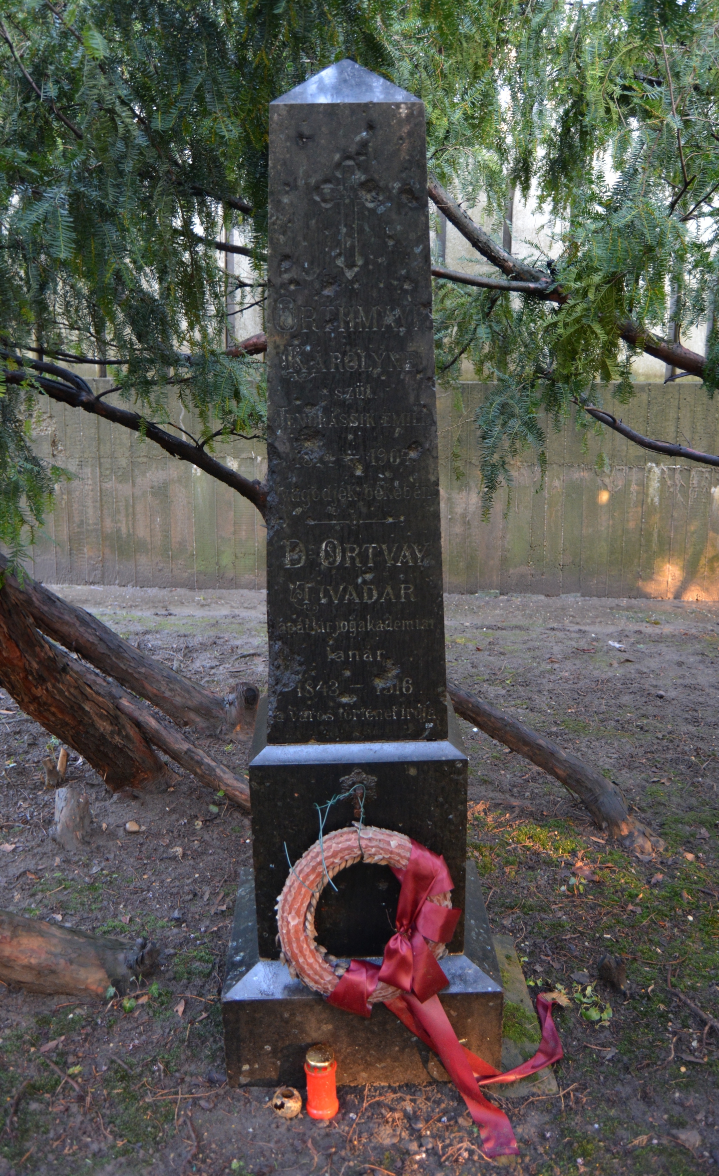Dr. Ortvay Tivadar síremléke