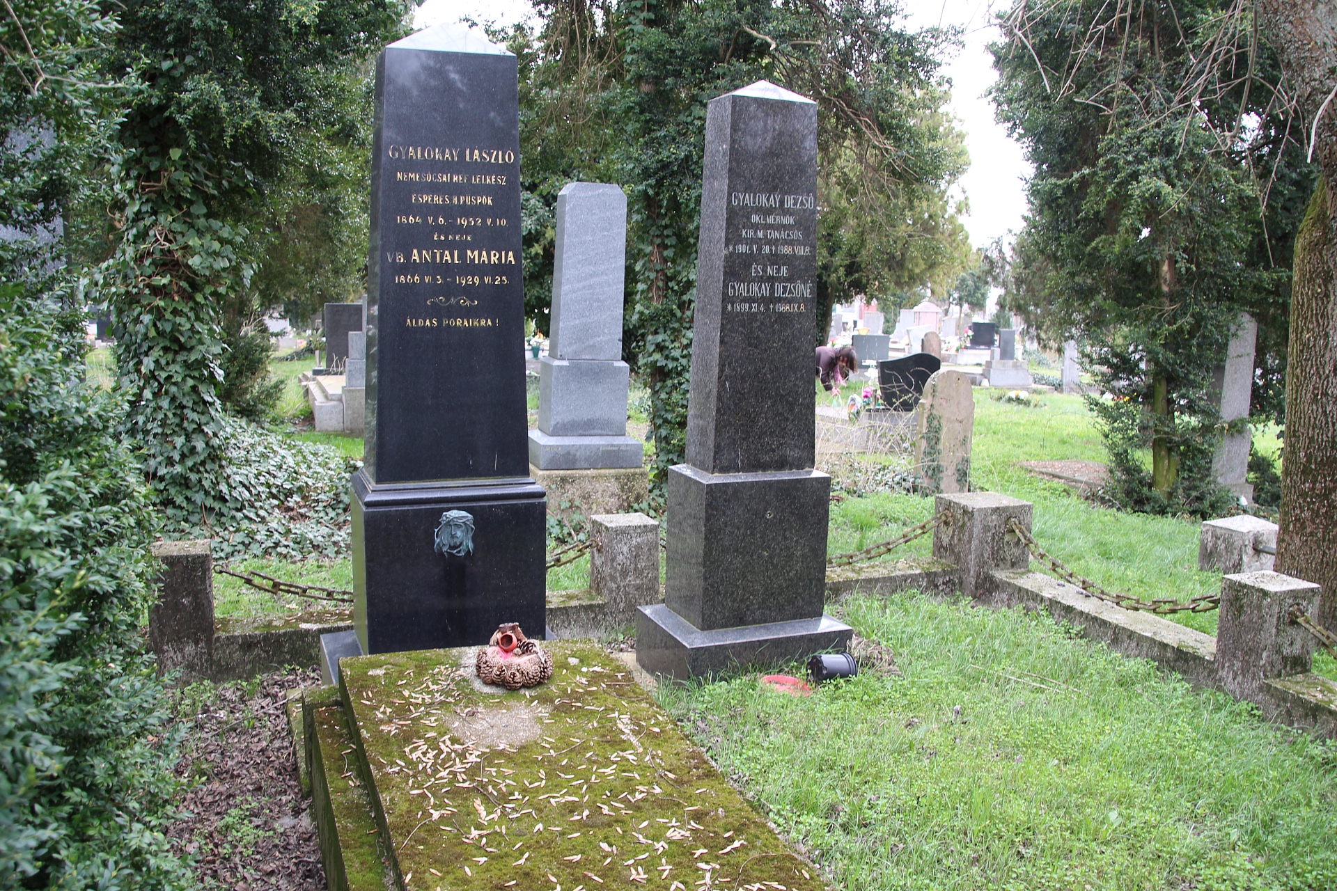 Gyalokay László református lelkész, esperes, helyettes püspök sírja