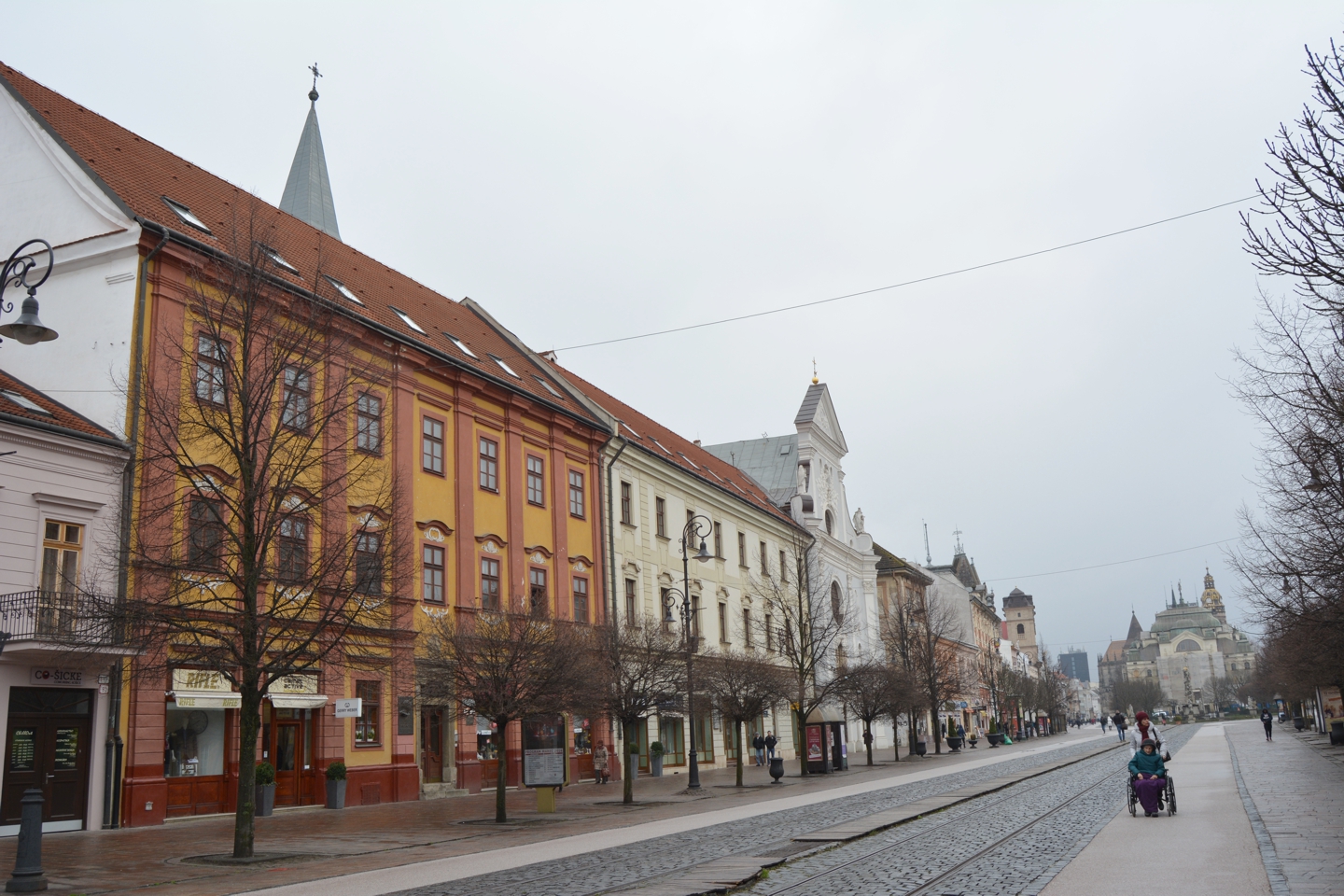 Konviktus