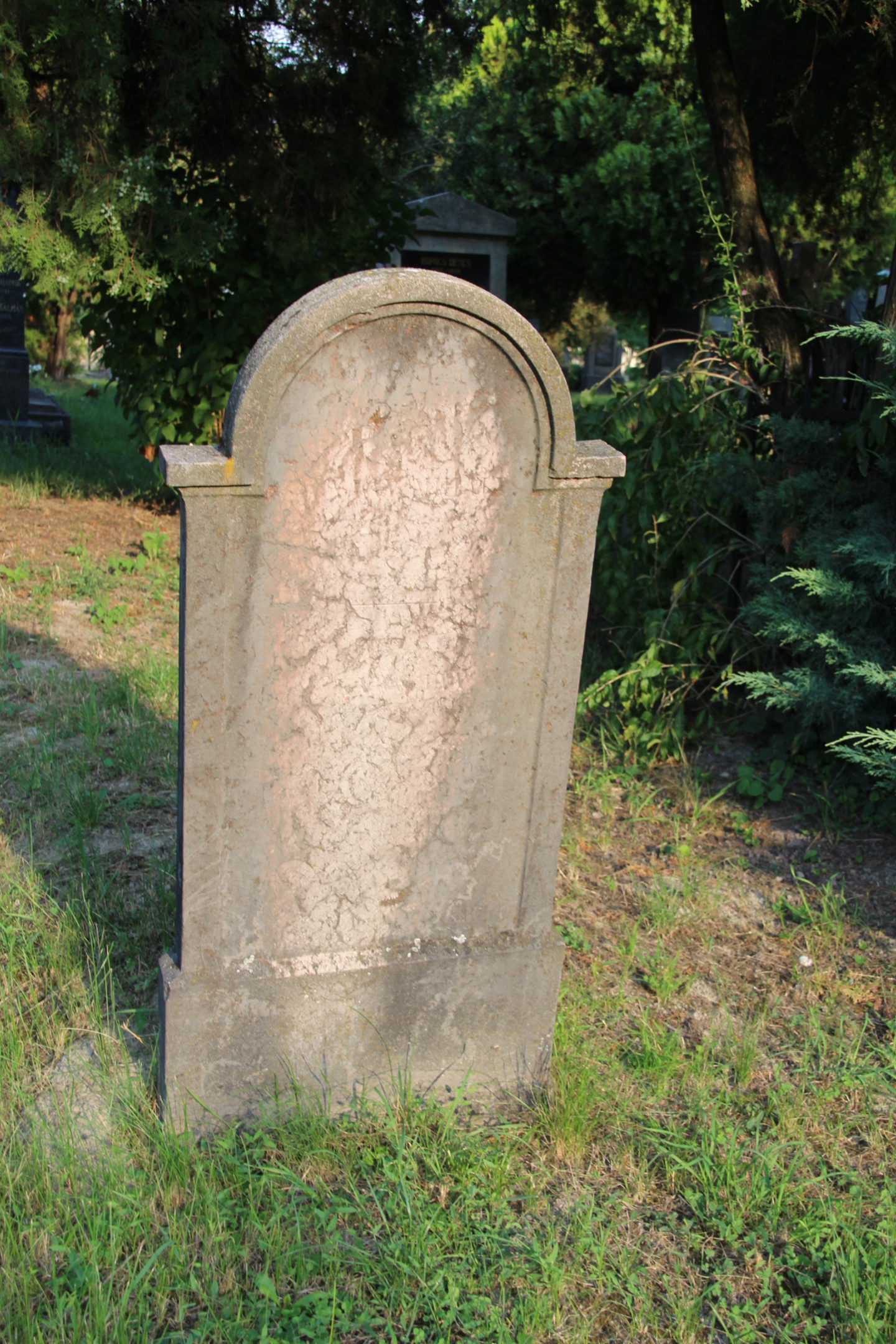 Nagy Mihály református lelkész sírja