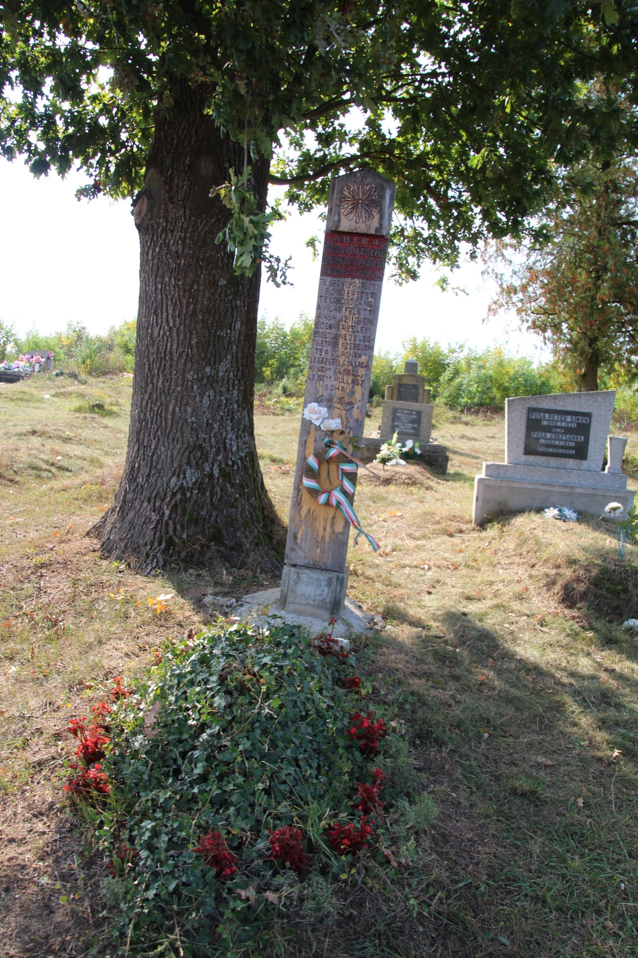 Pósa Antalné nemes Kovács Mária, Pósa Lajos édesanyjának síremléke