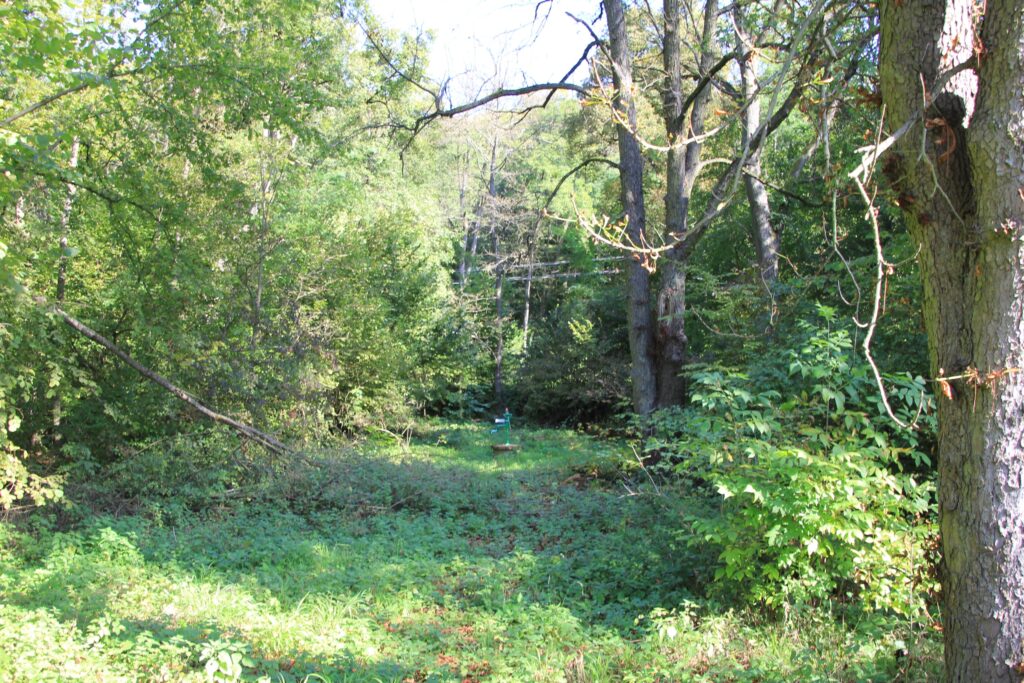 Sósári fürdőhely