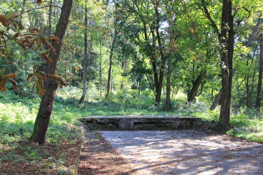 Sósári fürdőhely