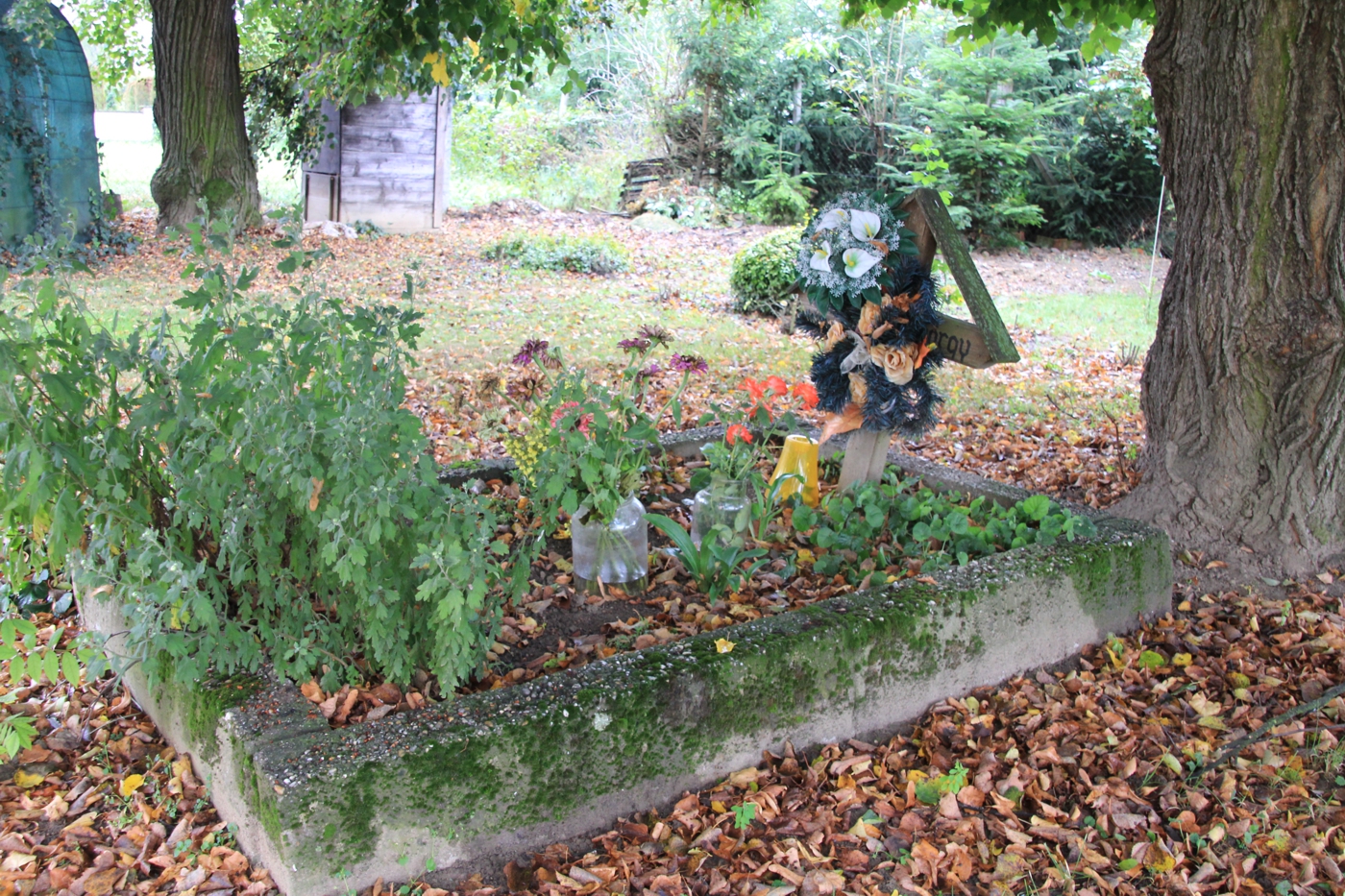 Csepregi György sírja