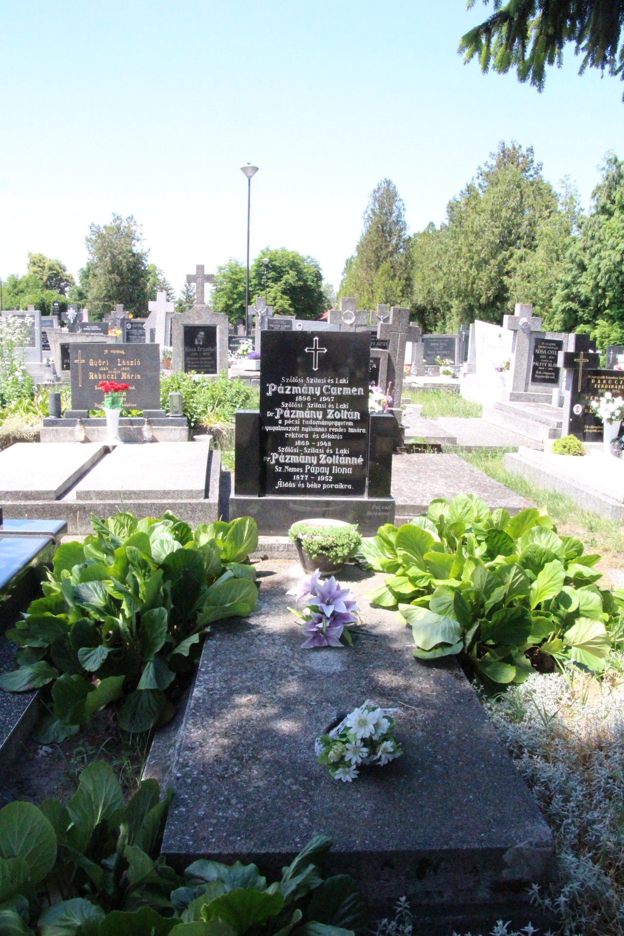 szilas-pazmany-zoltan-sirja (2)