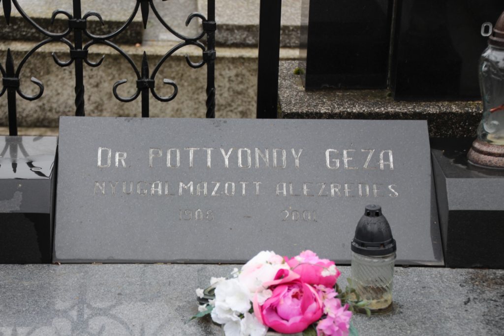 csallokozaranyos-pazmany-csalad-1-sirkertje (5)