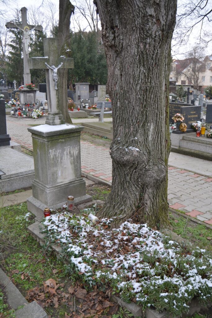 forev-pozsony-matyi-mihaly-sirja (2)