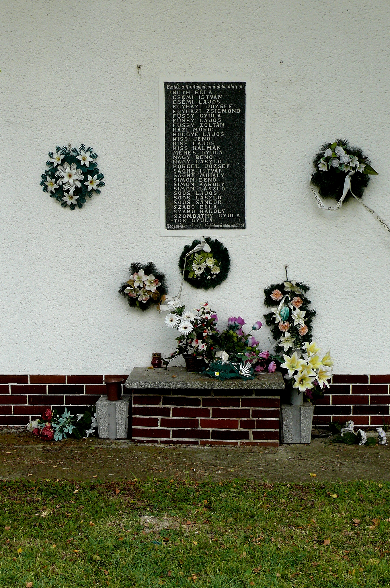 patas-temeto-2-vilaghaboru-15