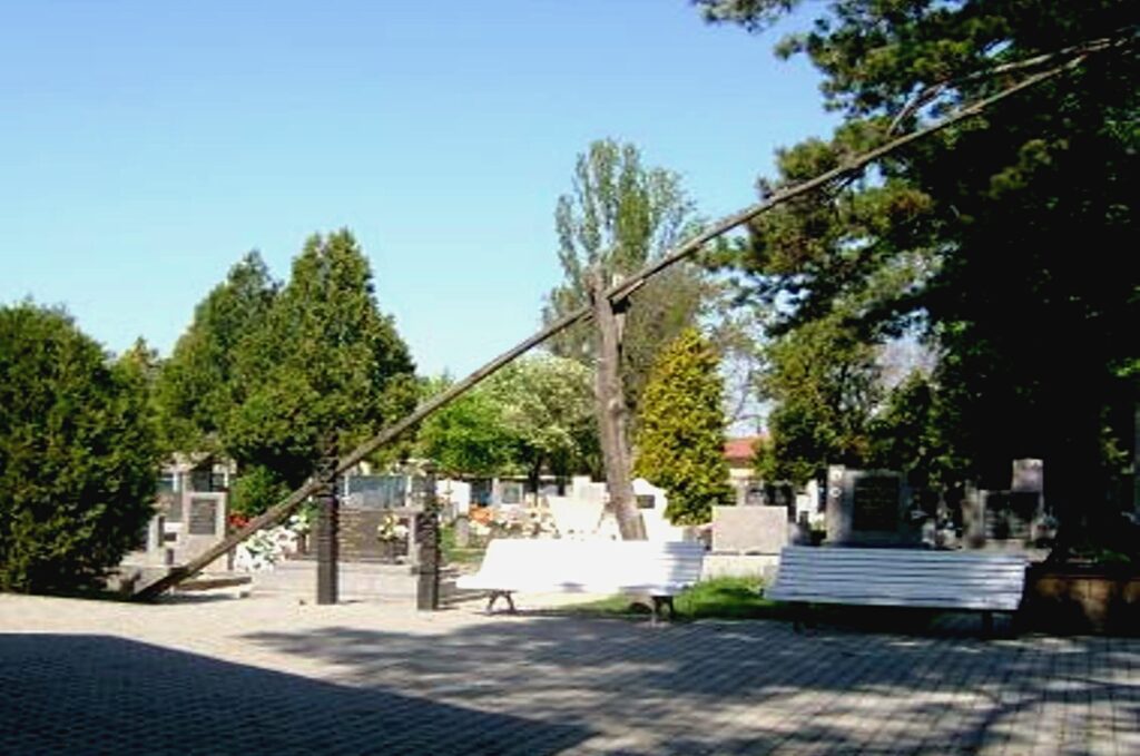 csicso-temetoi-diszkut-2