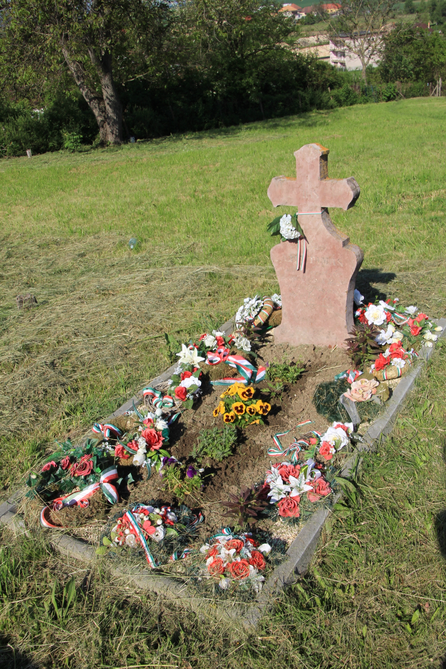 inam-nagy-tamas-nemzetor-sirja-3