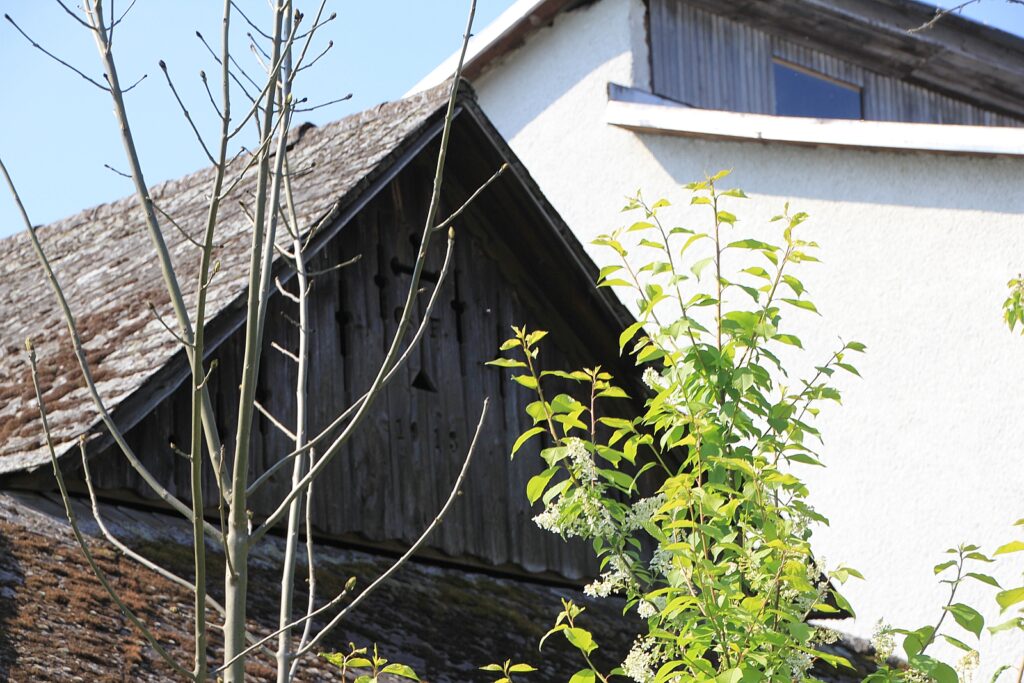 ipolykeszi-5-szamu-porta-2