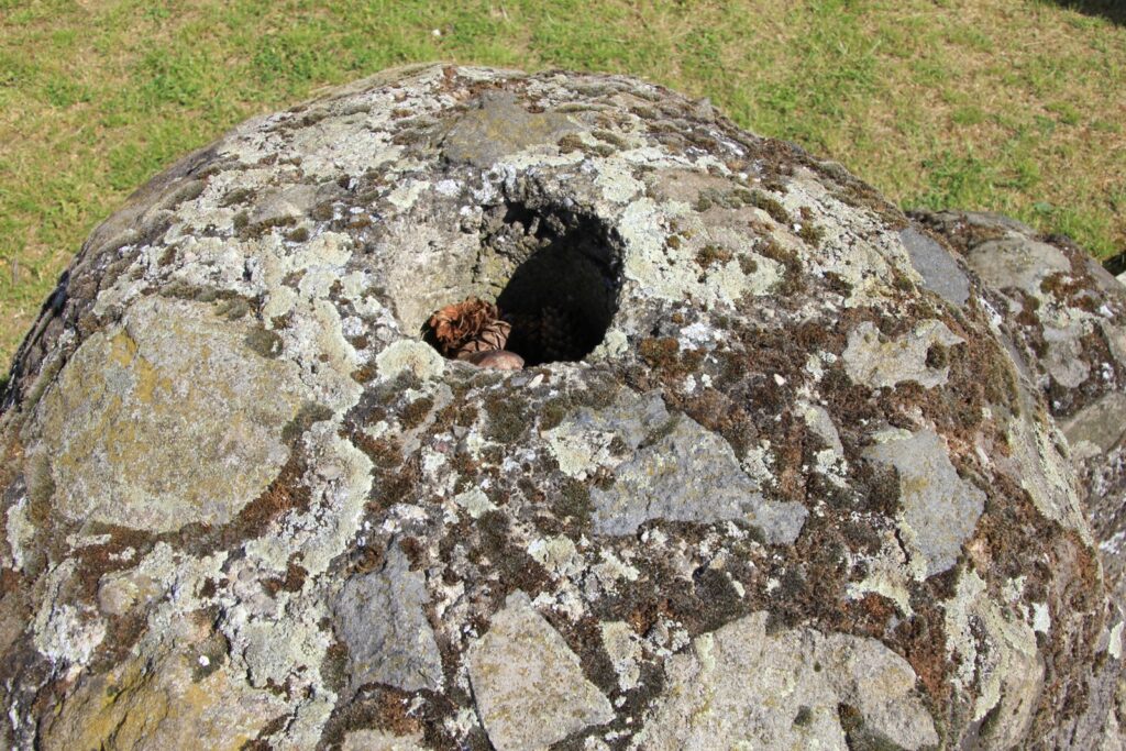 kokeszi-orszagzaszlo-tarto-4