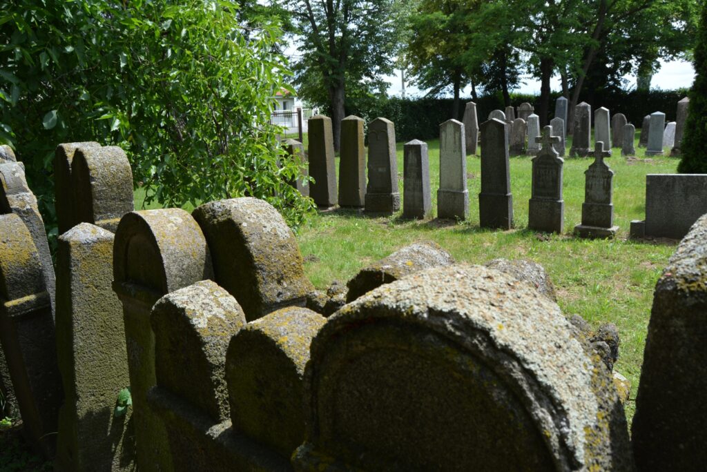 felsoszecse-regi-sirok (12)