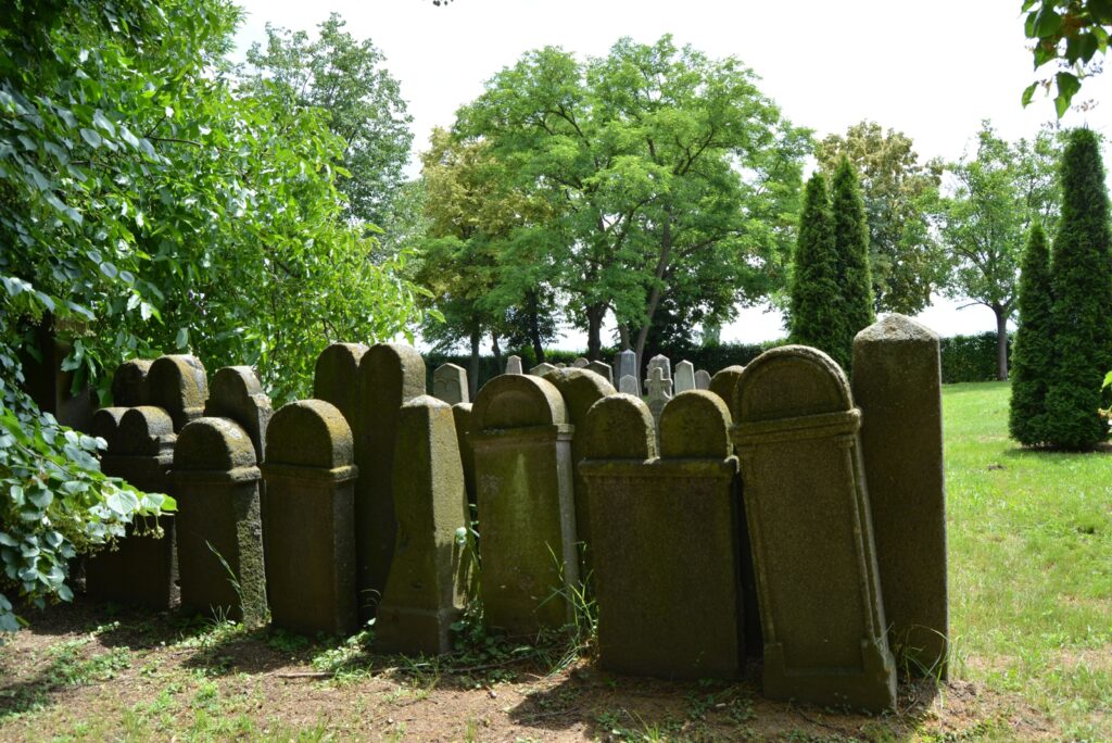 felsoszecse-regi-sirok (11)