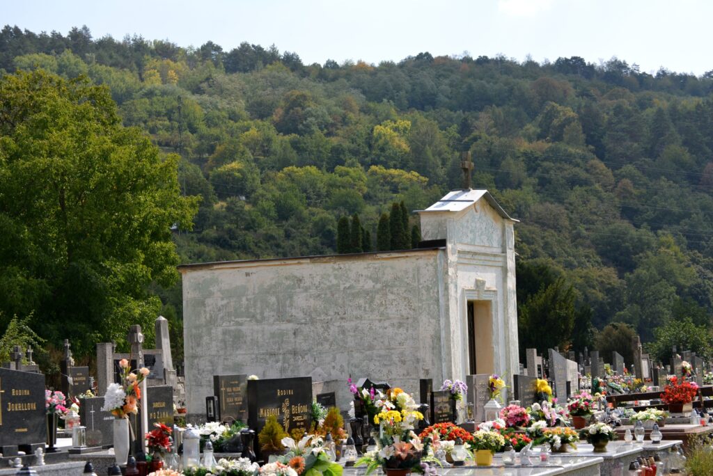 becko-dubniczky-andras-sirja (9)