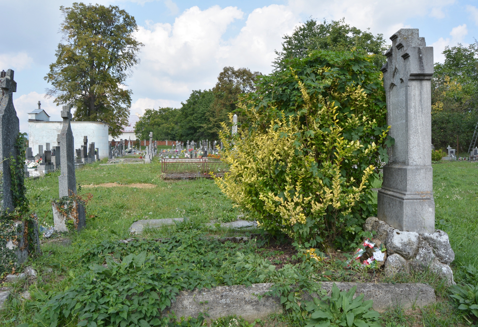 becko-mednyanszky-laszlo-sirja (1)