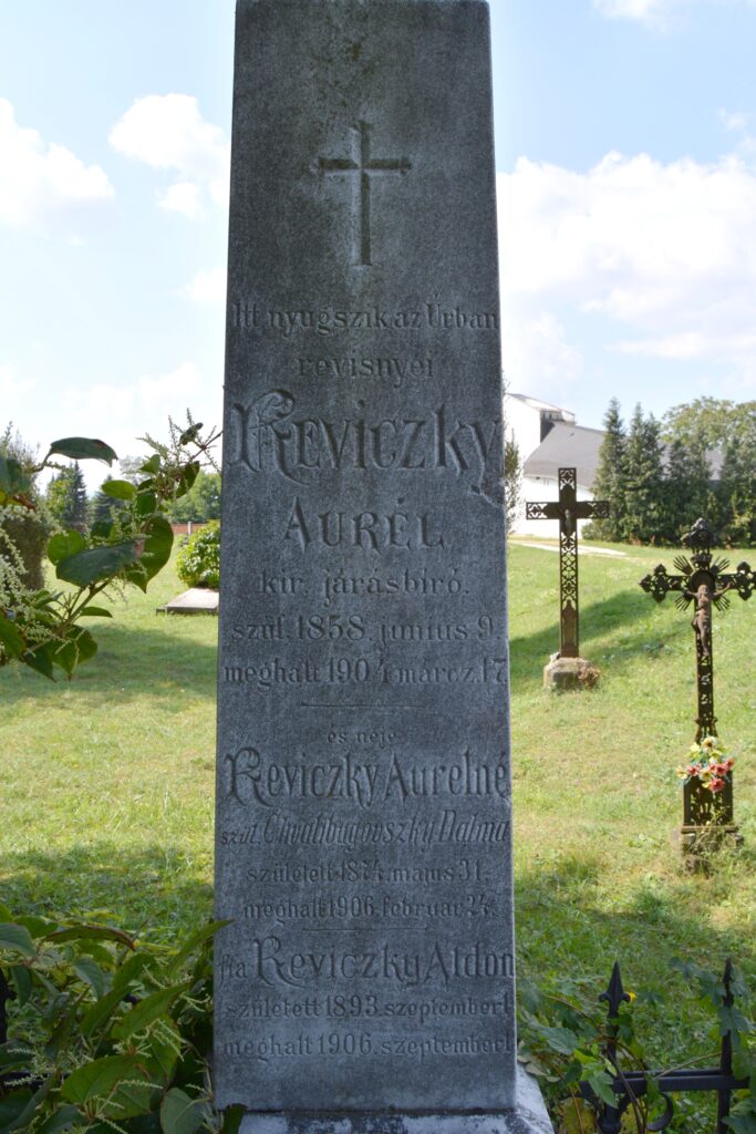 becko-reviczky-aurel-sirja (4)