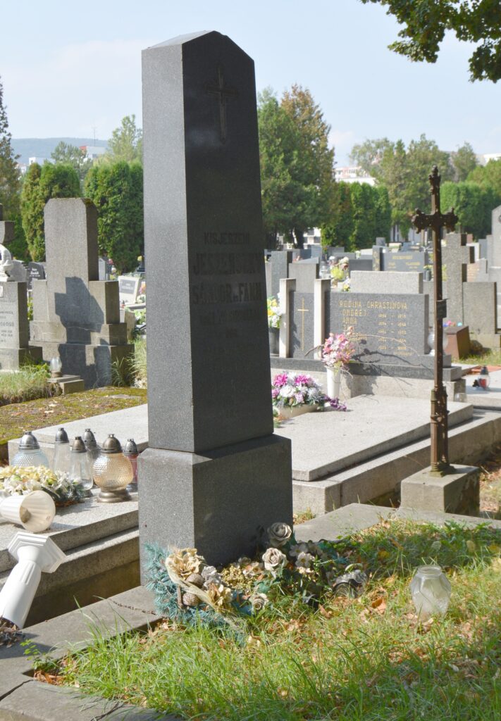 vagujhely-jeszenszky-sandor-sirja (4)