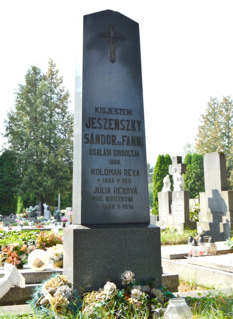 vagujhely-jeszenszky-sandor-sirja (3)