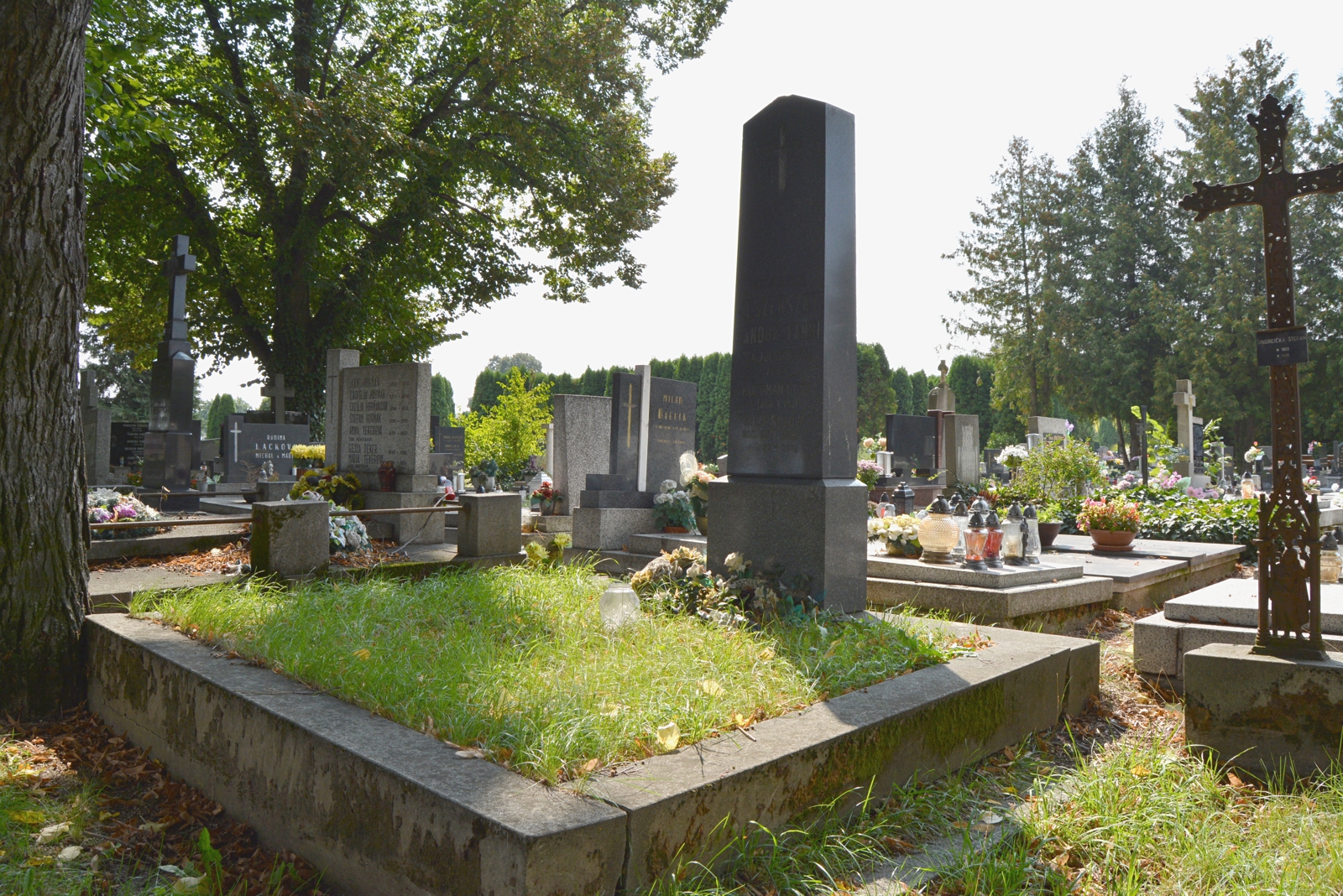 vagujhely-jeszenszky-sandor-sirja (1)