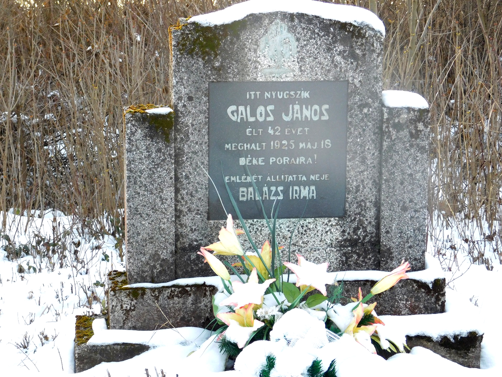 nemesradnot-galos-janos-sirja (4)