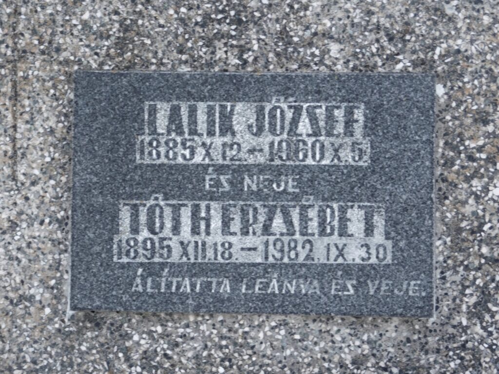 nemesradnot-lalik-jozsef-sirja (3)