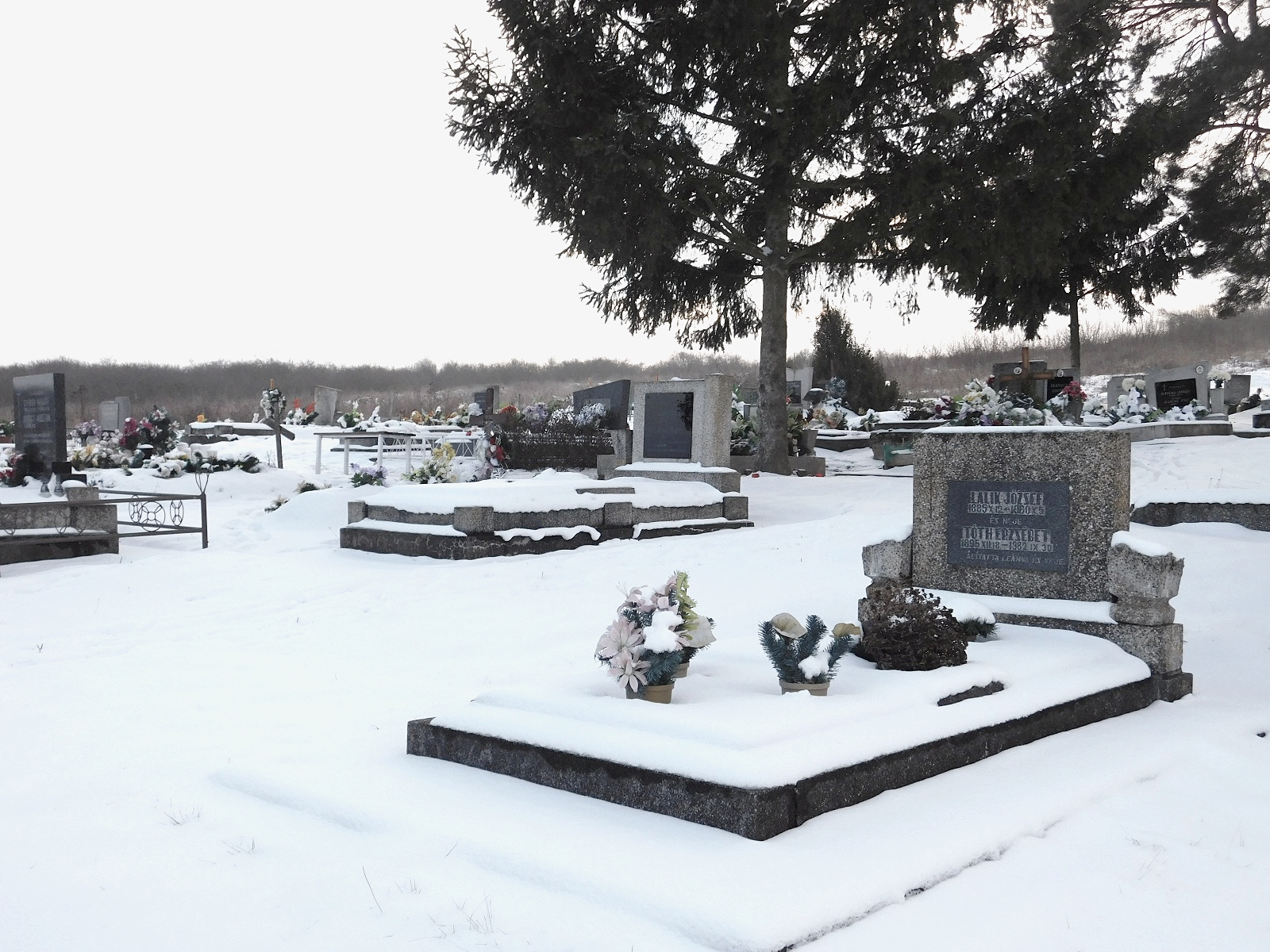 nemesradnot-lalik-jozsef-sirja (1)