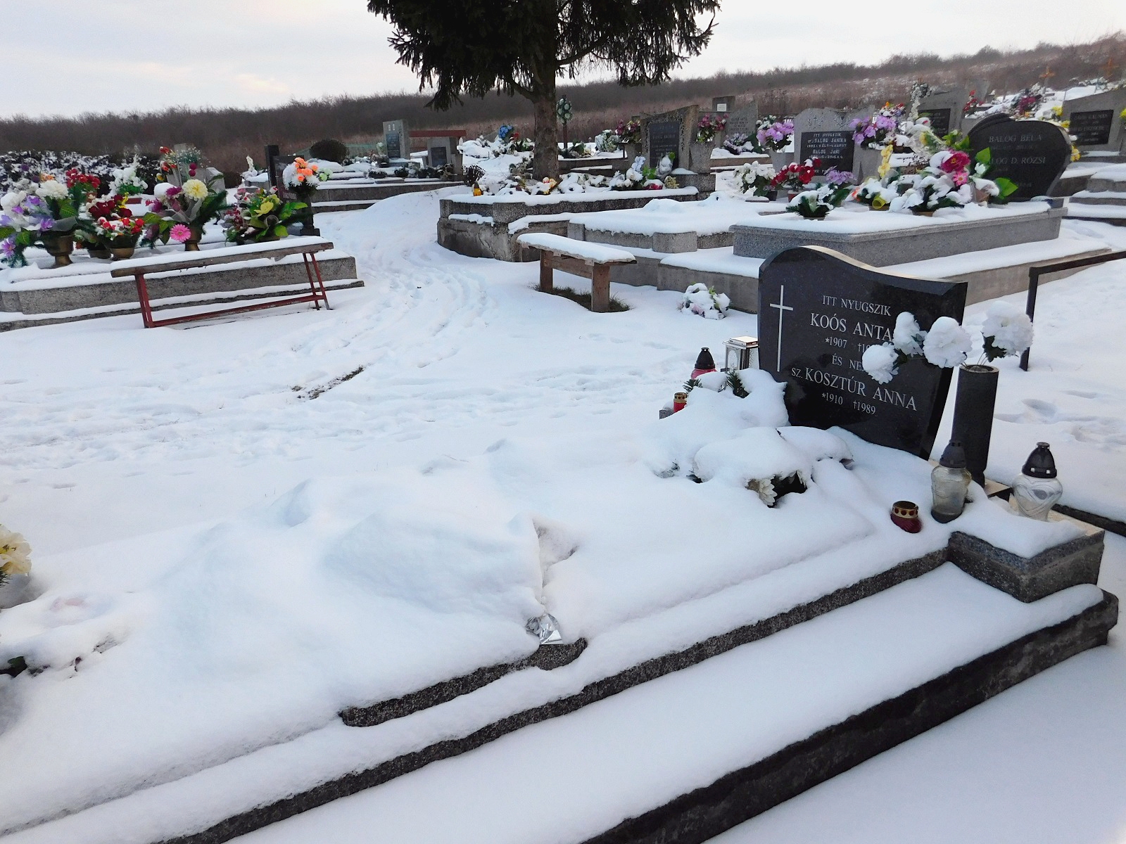 nemesradnot-koos-antal-sirja (1)