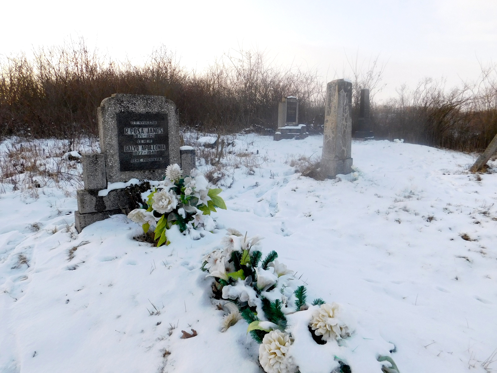 nemesradnot-posa-janos-sirja-1