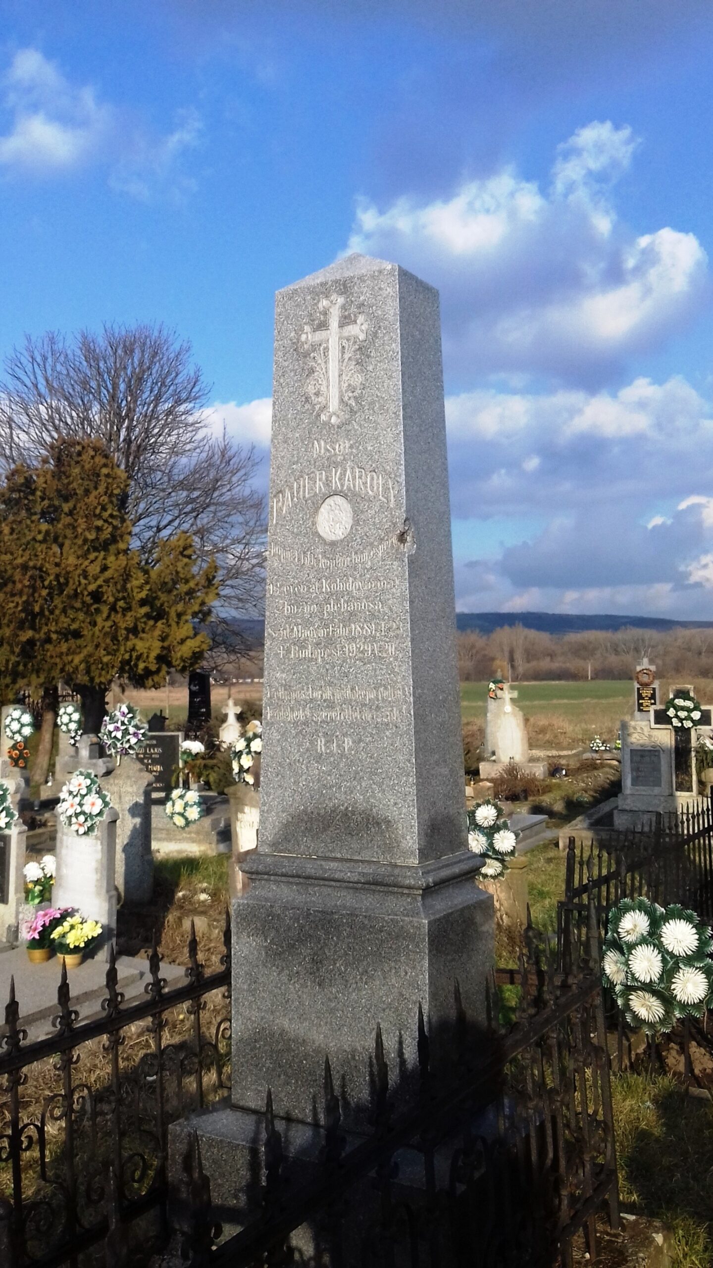 kohidgyarmat-pauer-karoly (1)