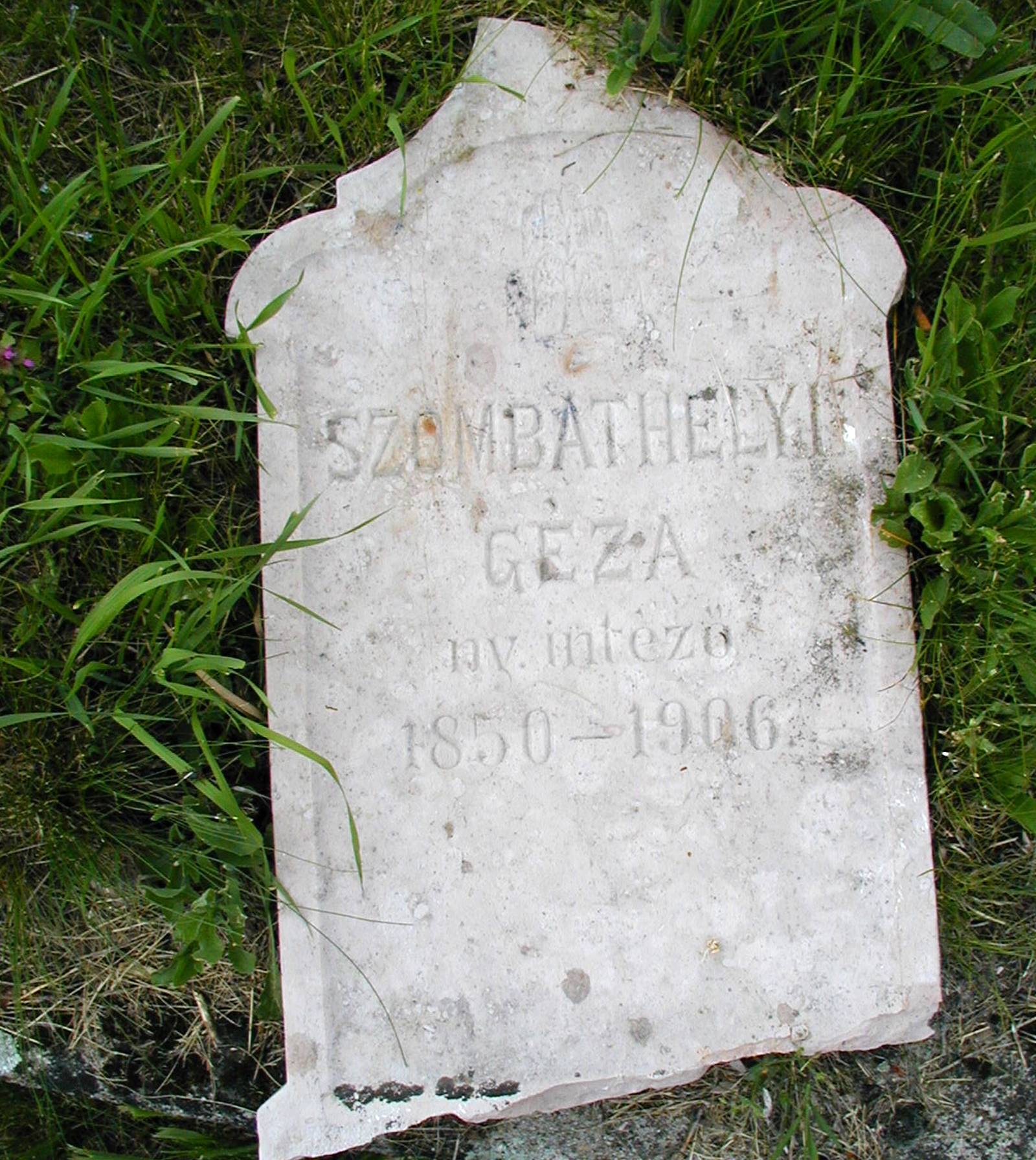 kohidgyarmat-szombathelyi-geza (1)