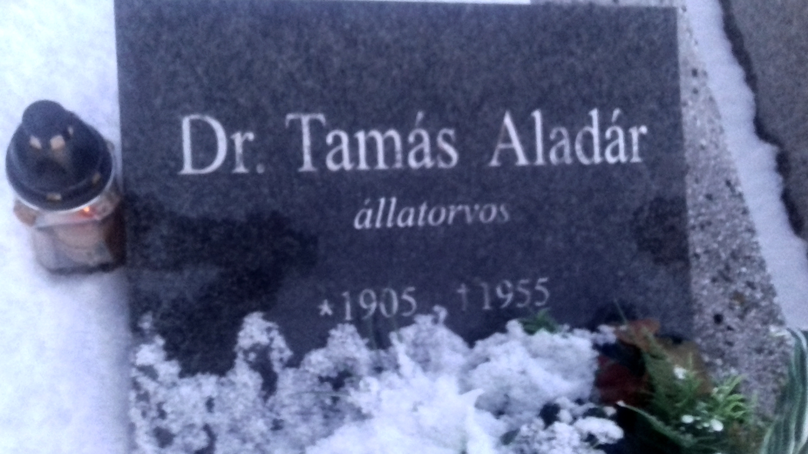 uzapanyit-Tamas-aladar (1)