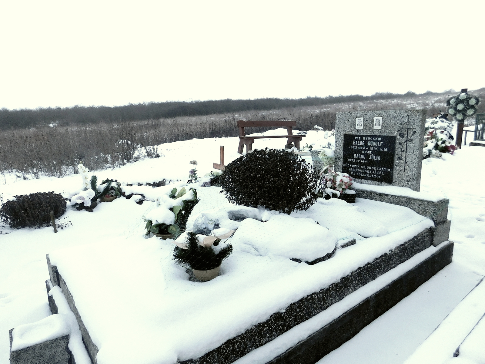 nemesradnot-Balog-Rudolf (1)