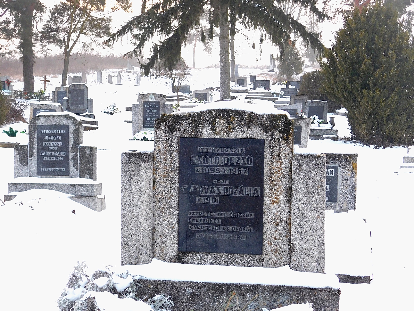 nemesradnot-Csoto-Dezso-sirja (2)