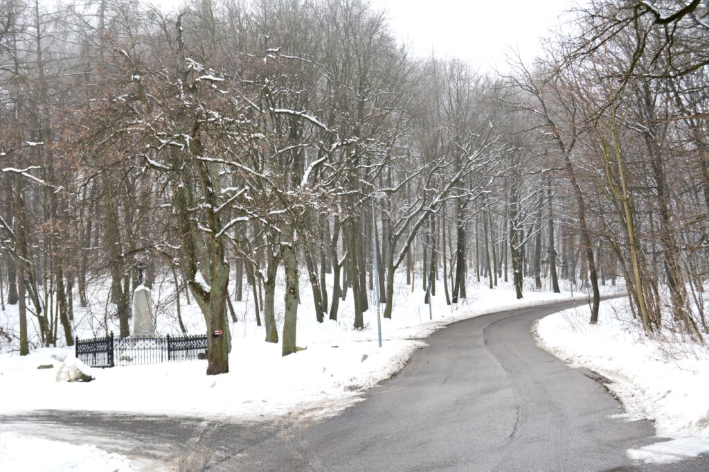 pozsony-lamacsi-csata-emlekmu (10)