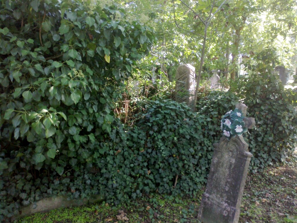 ogyalla-bagota-virsik-janos-sirja (3)