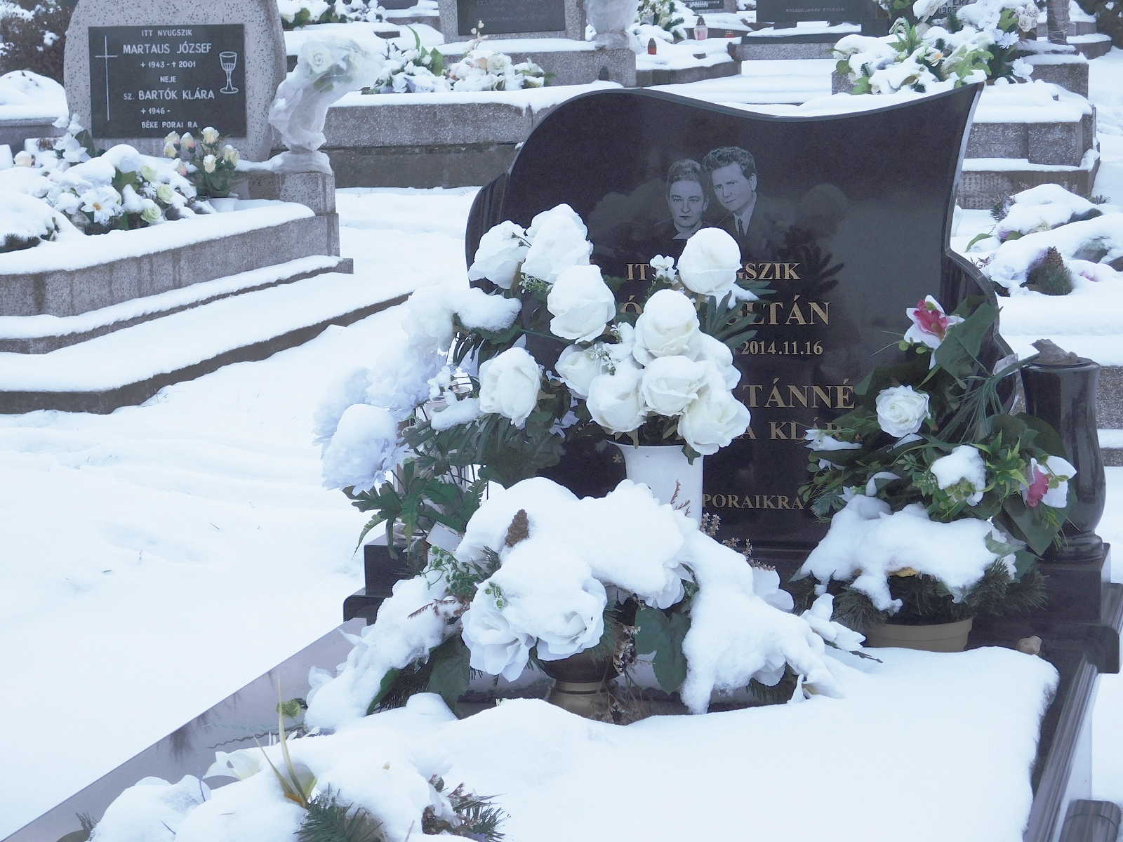 nemesradnot-Posa-Zoltan (1)