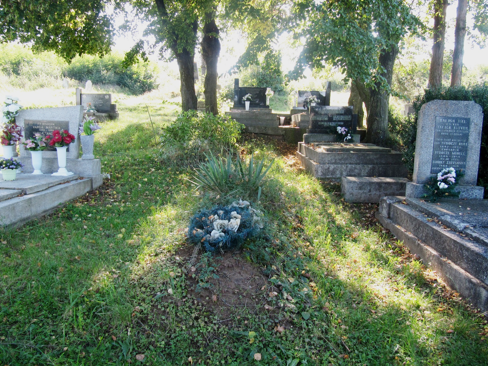 nemesradnot-posa-istvan (3)