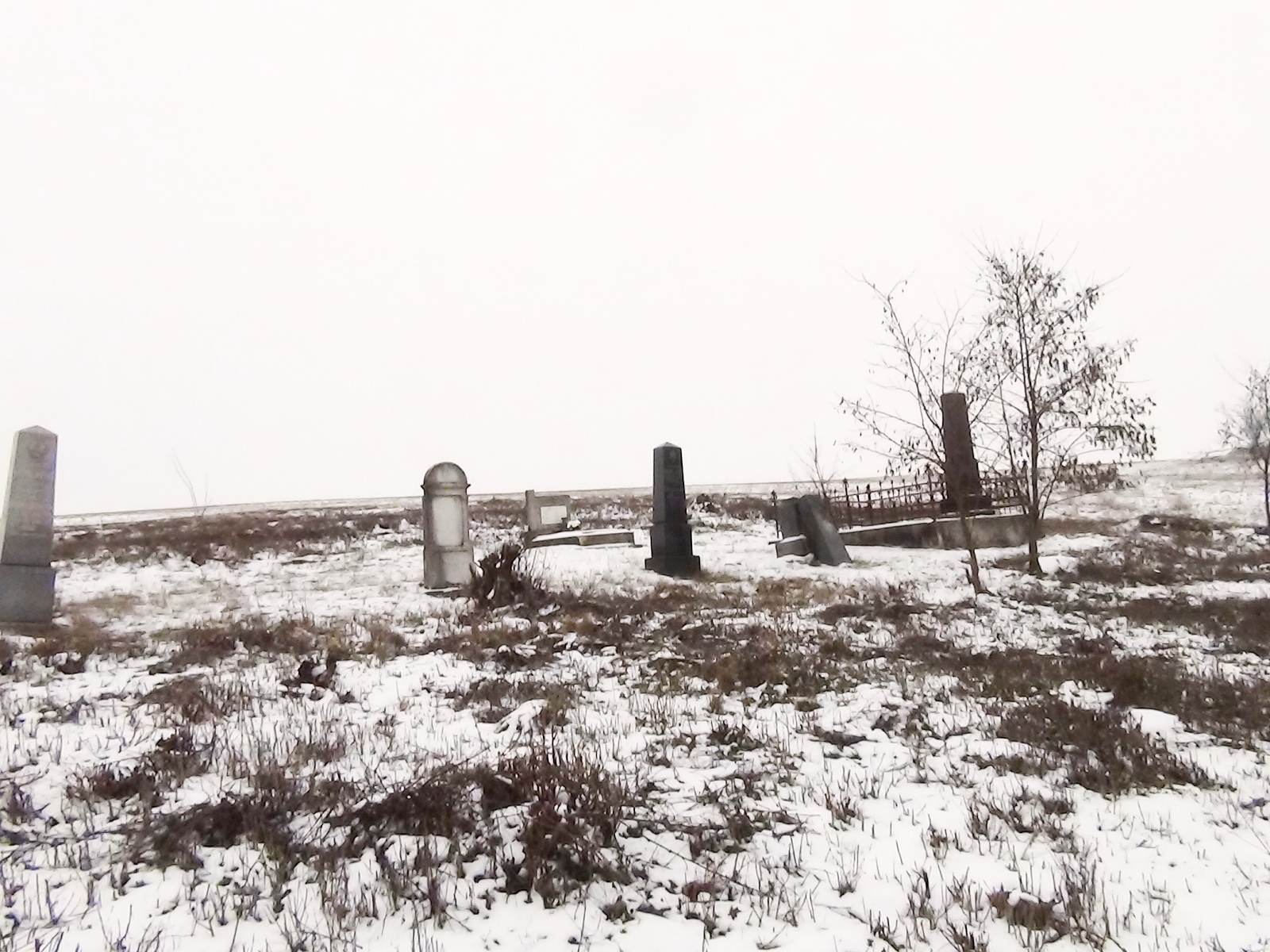 balogivanyi-balyo-temeto (1)