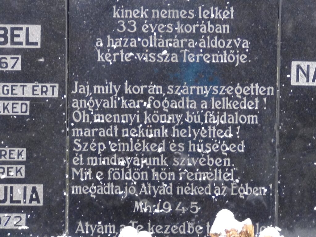 balogivanyi-nagy-abel (6)